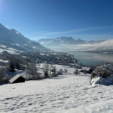 Verena'S Boutique Villa Au Lac Sachseln Exteriör bild